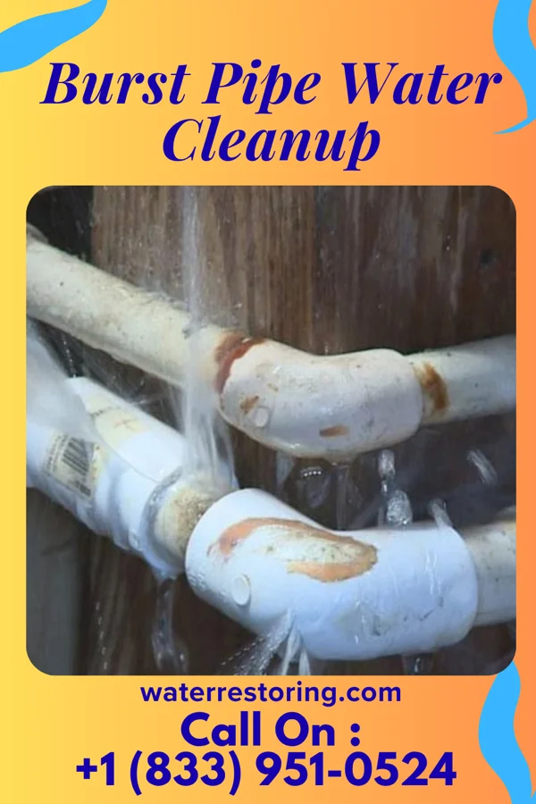 Burst Pipe Water Cleanup in Lake City, SC