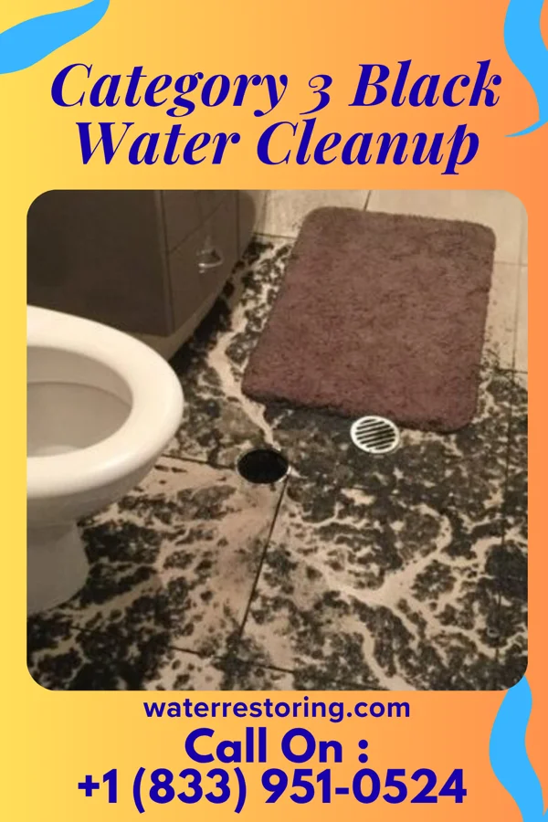 Category 3 Black Water Cleanup in Lake City, SC