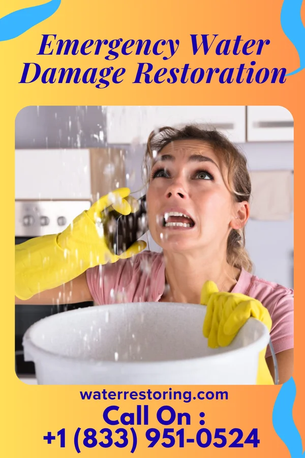 Emergency Water Damage Restoration in Lake City, SC